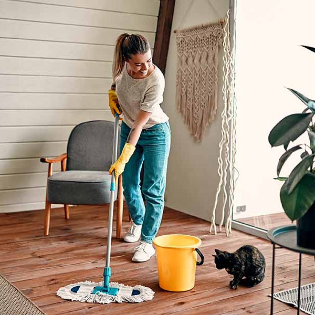 Maid Zen Cleaning Services of Northeast Texas
