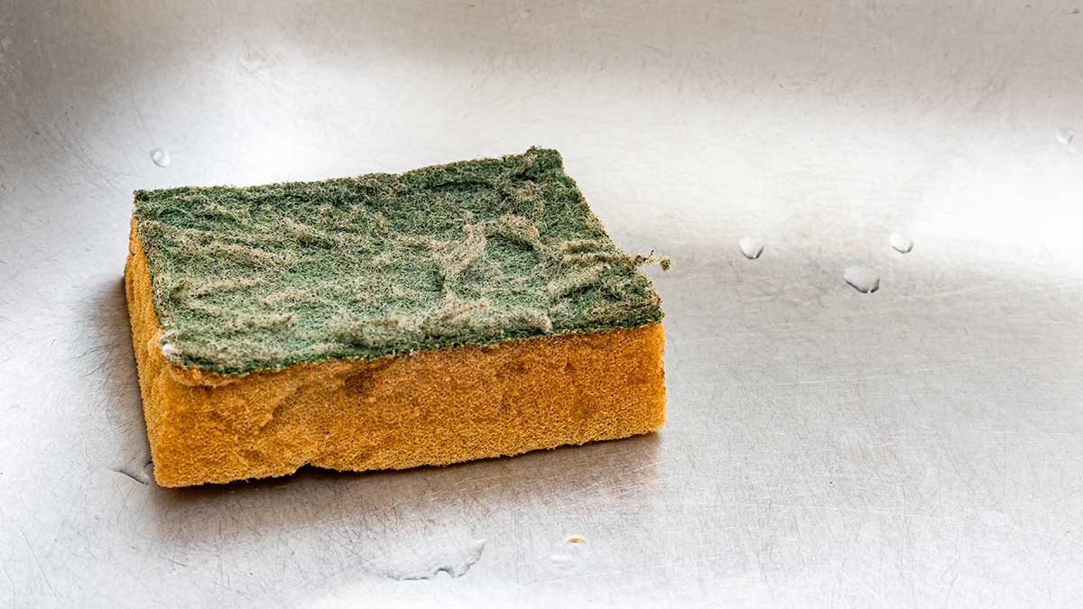 The 5 (Surprisingly) Dirtiest Places in Your Home Maid Zen